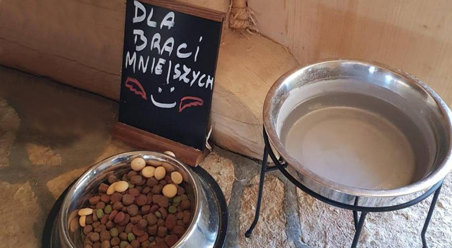 Ostoja Spokoju Olchowiec エクステリア 写真