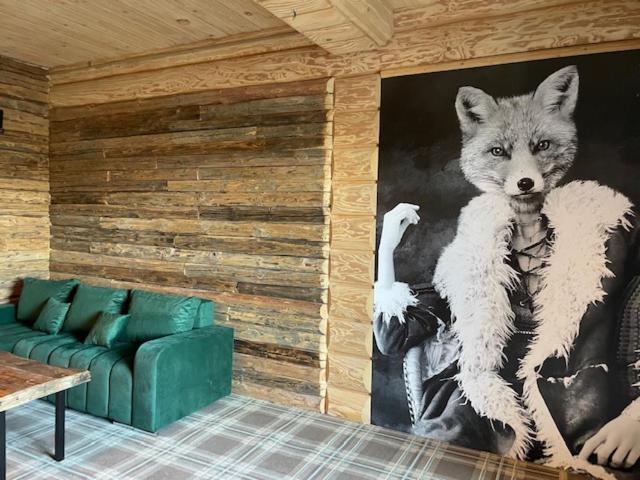 Ostoja Spokoju Olchowiec エクステリア 写真